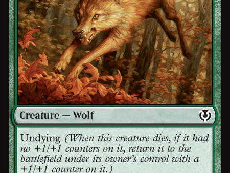 Young Wolf [Innistrad Remastered] For Sale