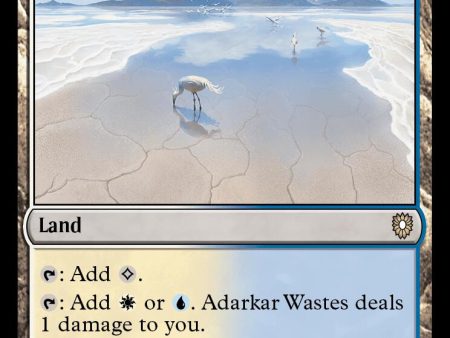 Adarkar Wastes [Bloomburrow Commander] Online Hot Sale